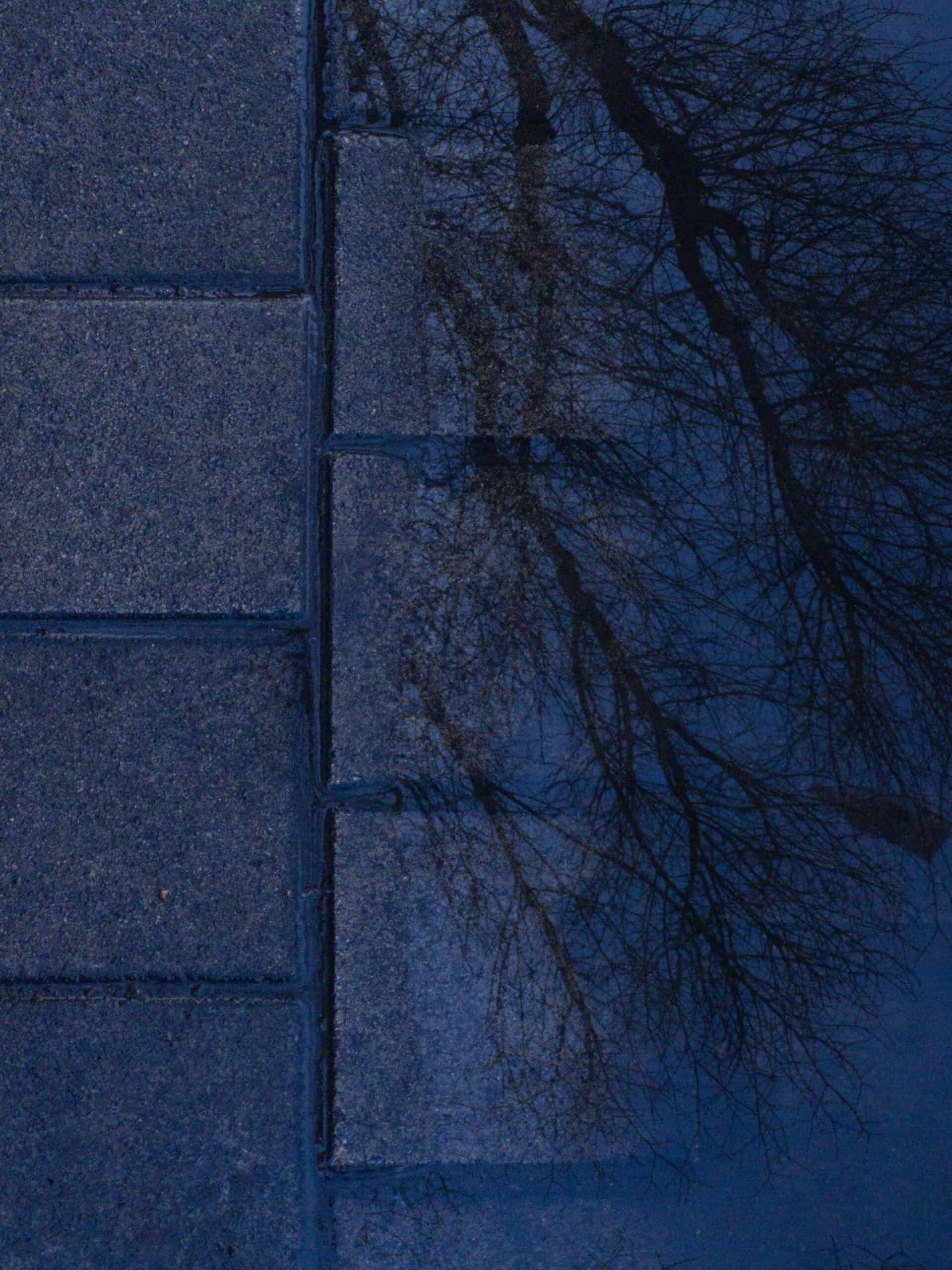 Archive #396