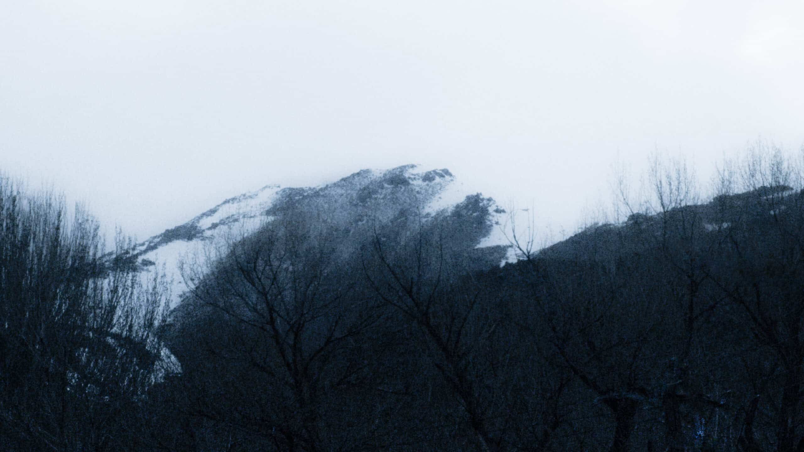 Archive #802